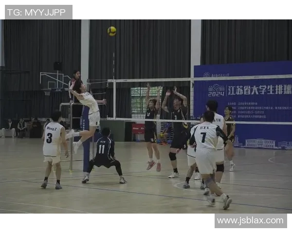 西安排球队的团队协作探讨与排球竞技精神的深度融合