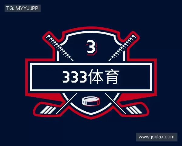 关于333体育